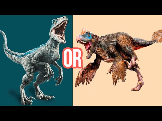 17 Vicious Velociraptor Facts For Kids - JellyQuest