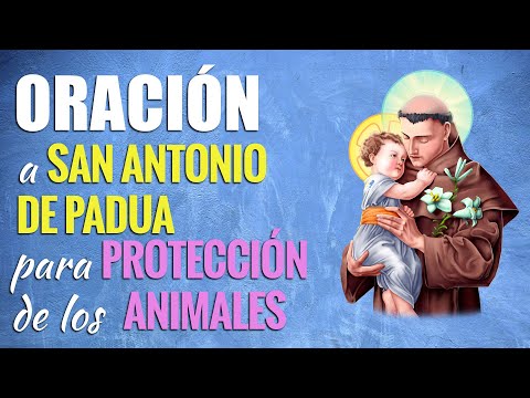 🙏 Oración a San Antonio por LOS ANIMALES 🐶 ¡Para que NADA Malo les PASE!
