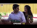 Kabhi Kabhi Episode 12 Ahsan Khan Mehwish Hayat ARY Digital