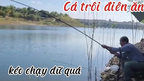 Trải nghiệm chia sẽ điểm câu đập suối rao Huyện Châu Đức BRVT