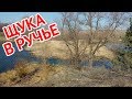 Ловля щуки на живца в ручье весной