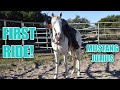 FIRST RIDE | MUSTANG JULIUS