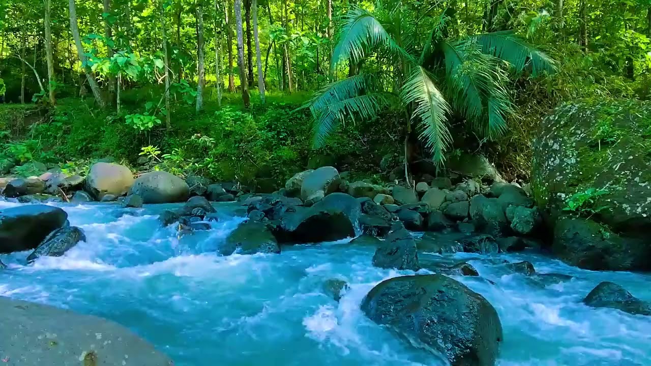 Instant Peace of Mind - River Water, Relaxing Sounds and Relieves Anxiety