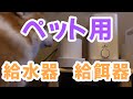 【コーギー】おすすめ！！ペット用自動給水器と自動給餌器※