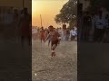 gopi faradipuri kabaddi player