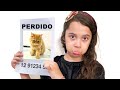 SARAH perdeu o SEU GATO | Sarah Lost our cat