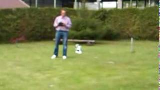 RC Heli Funcopter Small Crash