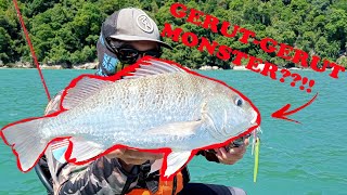 Gerut-Gerut Kerisi Kerapu At Pangkor Island - Bangau Kayak Fishing Malaysia