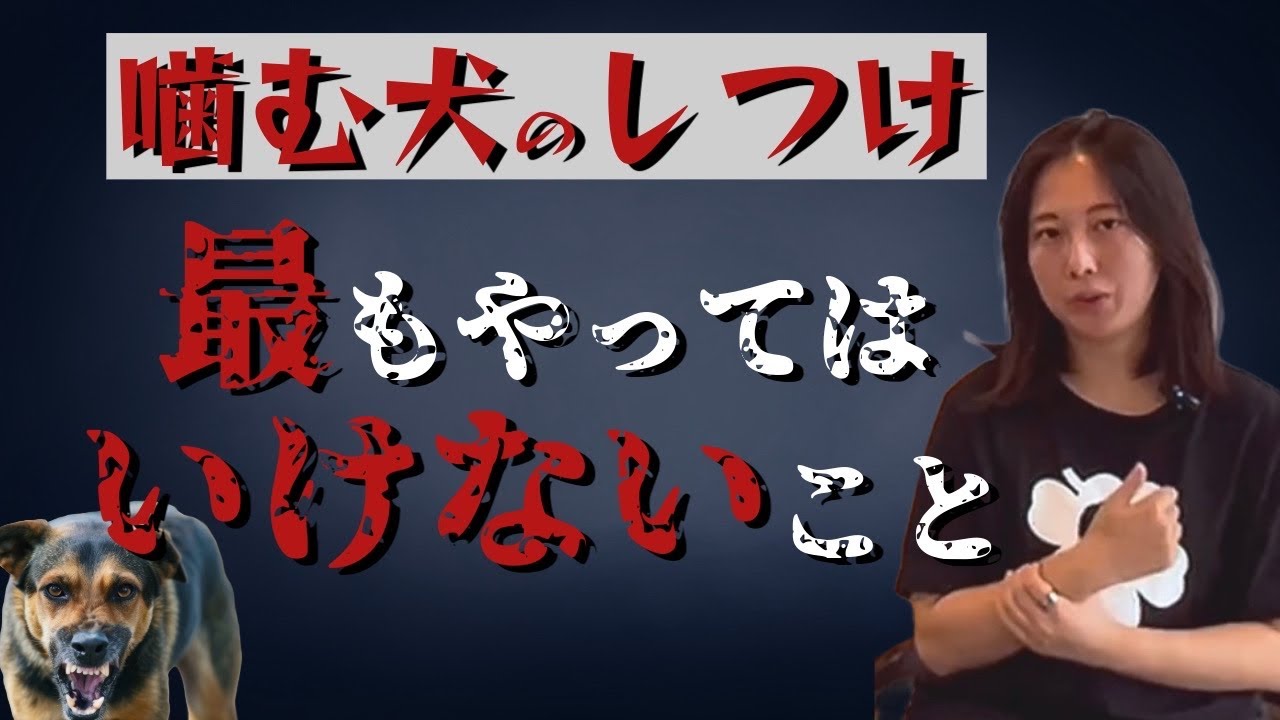 【NG】嚙む犬に最もやってはいけないしつけ