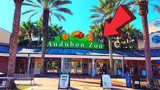 Audubon Zoo New Orleans Louisiana Full Tour 2024