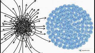 Is MoE Routing a Huffman Code Discovering the Frequency-Diversity Law in Chain-of-Thought