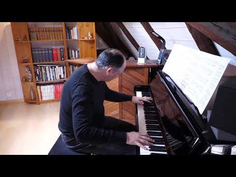 F Liszt Nocturne N°3 on Dexibell Vivo SX7   Florian Damour   Piano