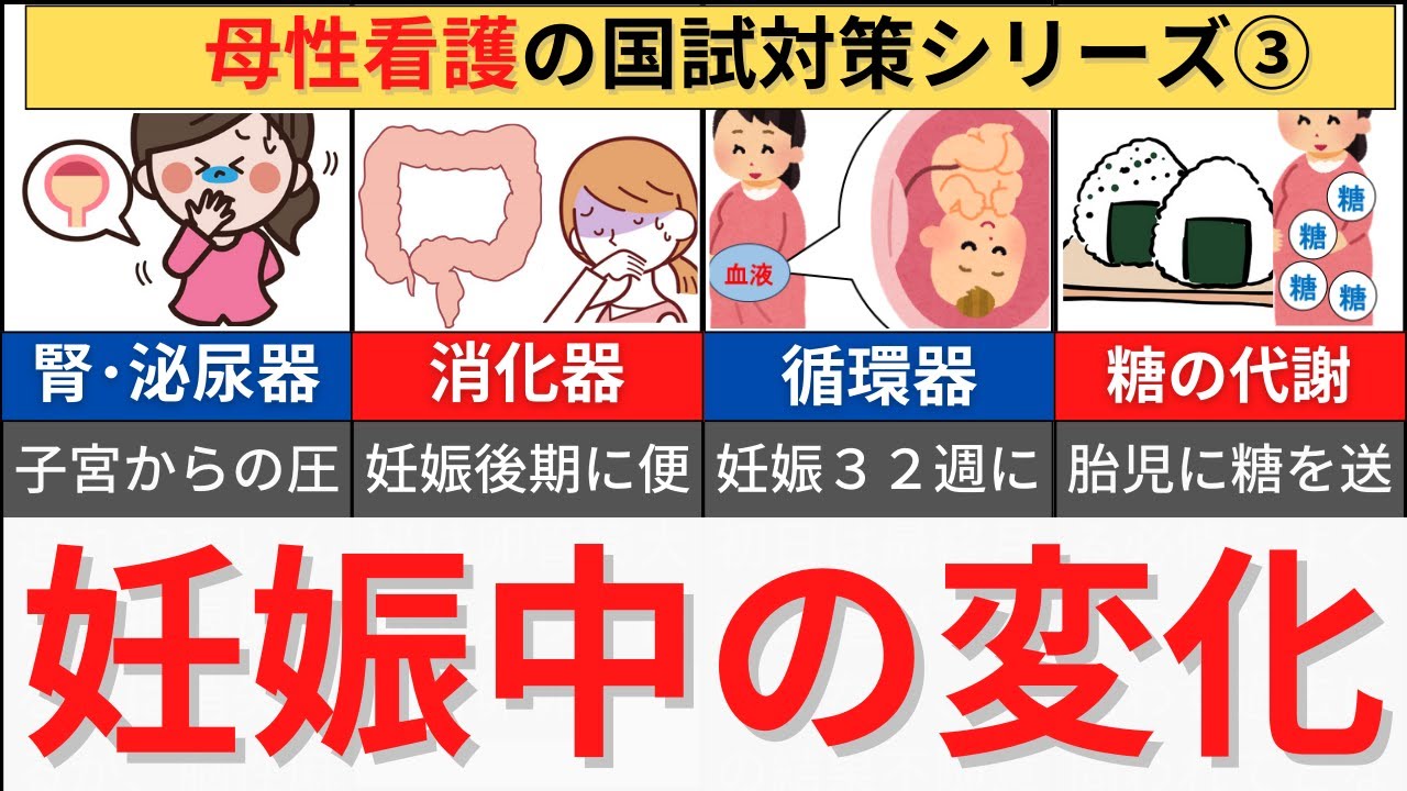 【12分で解説、10分で国試問題】妊娠による母体の変化について解説 1