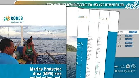 Guide to: MPA Size Optimization