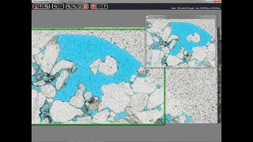 Leica Application Suite (LAS) Live Image Builder XY Demonstration