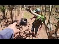 PROJETO PITAYA ESPALDEIRA,capítulo 6@zedocafeoficialzedocafe8719 @agostinharamos8841 