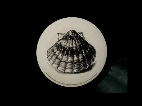Greatshell — OMVER / Greatshell / ANMARI [2017]