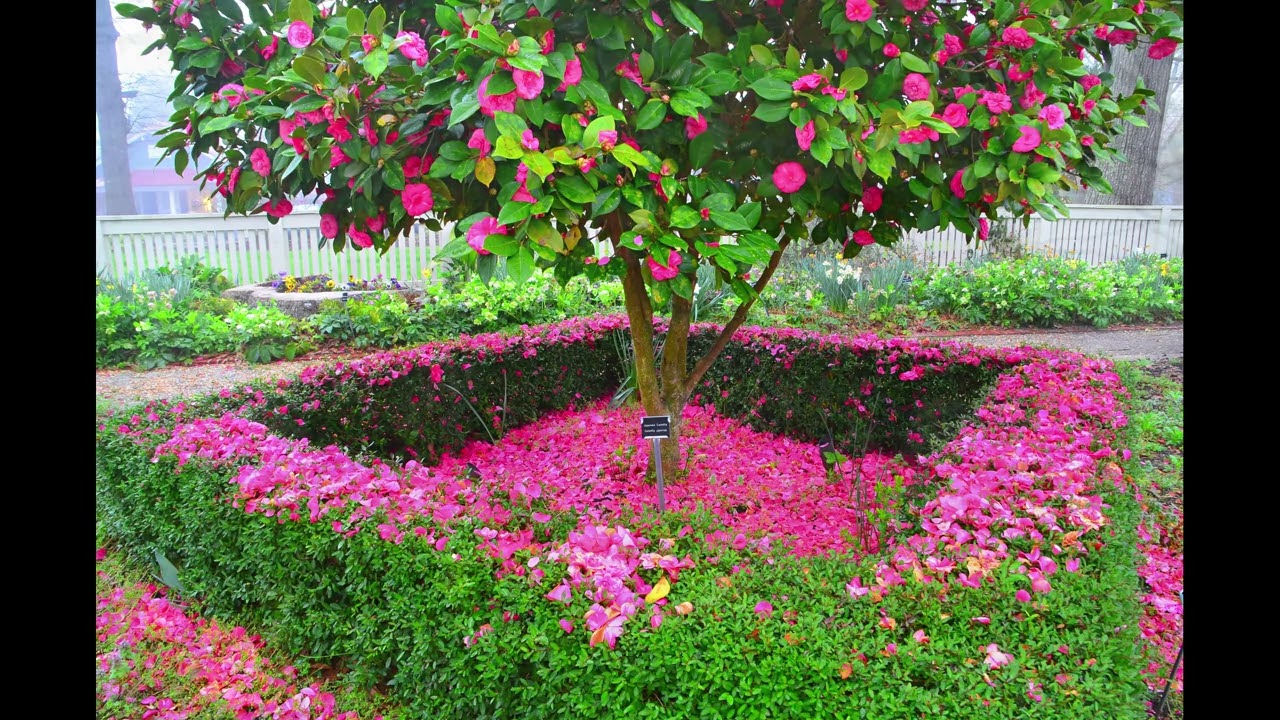 Earth Reading 1-8-25