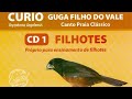 Curió Guga Filho Do Vale - canto praia clássico encarte de filhotes pardos vol 1