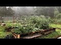 Why Raised Garden Beds? | The Benefits of Raised Bed Gardening | Roots and Refuge Farm Why Raised Garden Beds? | The Benefits of Raised Bed Gardening | Roots and Refuge Farm