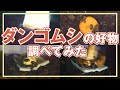 【検証】ダンゴムシに人気の食べ物選手権【比較】