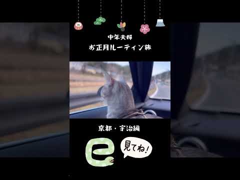 【中年夫婦】京都・正月ルーティン旅
