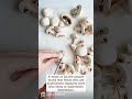 gut—brain—mushrooms?