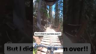 Riding Insane Black Diamond Mountain Bike trails in Telluride, Colorado!