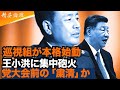 巡視組がメスを入れる 王小洪が標的に 21大前の粛清 #精鋭論壇