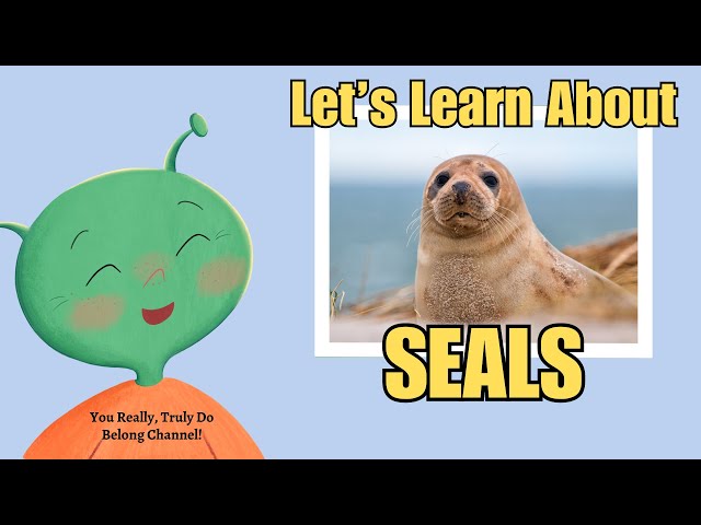 Seals — Science Learning Hub