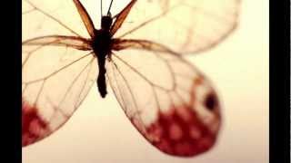 Lamb - Erfly Effect Owen Ear Remix