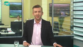 Священні тварини не для м’яса  Вайшнави Дніпропетровщини купують корів, аби ті не потрапили на бій