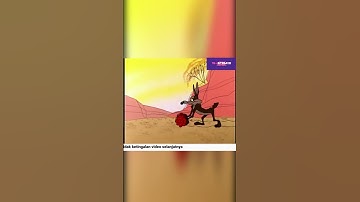 Road Runner vs Coyote - Hook, Line and Stinker #Shorts