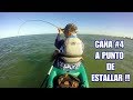 QUE PESCA !!!  CAÑA DE FLY AL LIMITE DE ROMPER POR CORVINAS