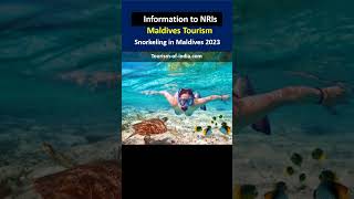 Snorkeling in Maldives | Tourism in Maldives | Information for NRIs By Nouman Nuri