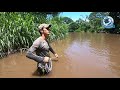 Tirando la atarralla en el río las aventuras de Jonathan y el pata de chucho parte 9