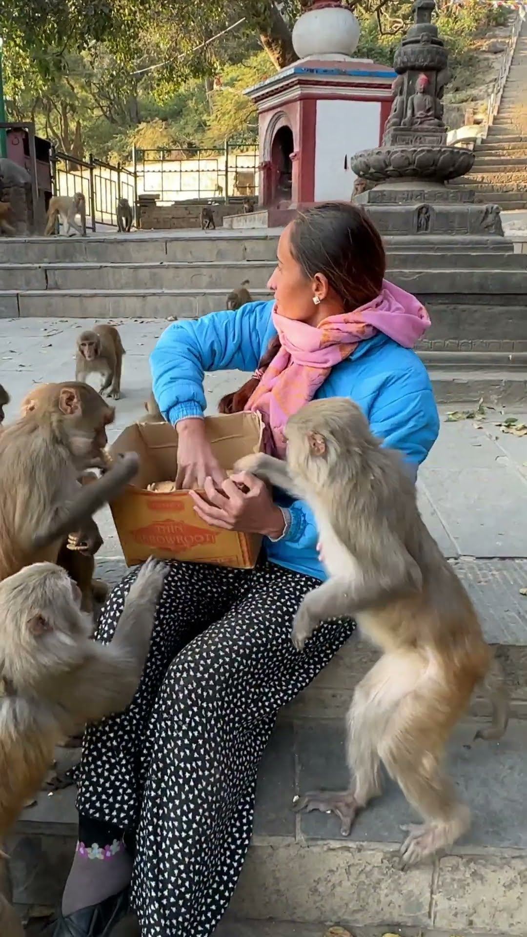 Joyful Monkey Feeding || ViralHog