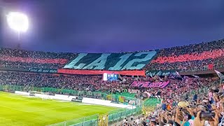 Ultras Palermo in casa contro Sampdoria [17/05/2024] , Serie B Play Off