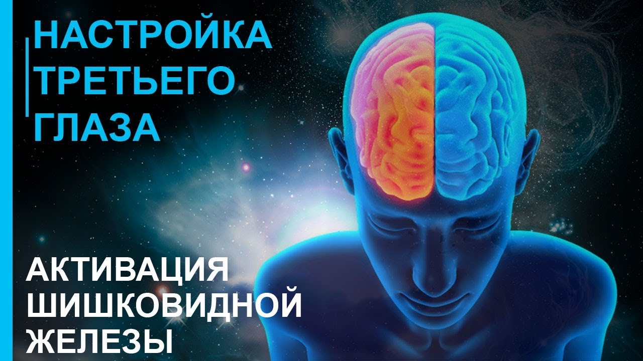 Медитация шишковидной железы. Активация третьего глаза. Шишковидная железа сознание. Шишковидная железа третий глаз. Активация шишковидной железы.