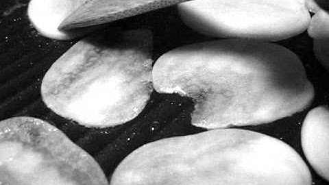 Meng Qi - Perfection