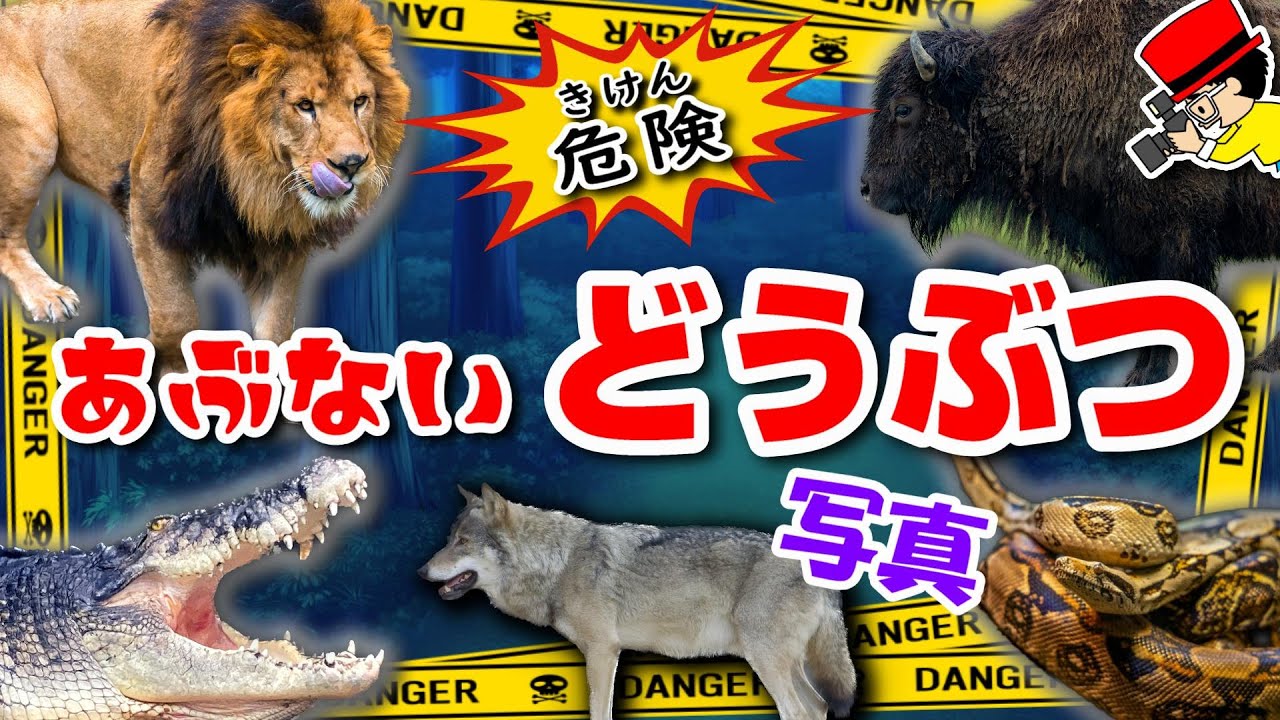 サファリパーク！動物図鑑】写真で覚えよう！危険などうぶつの名前