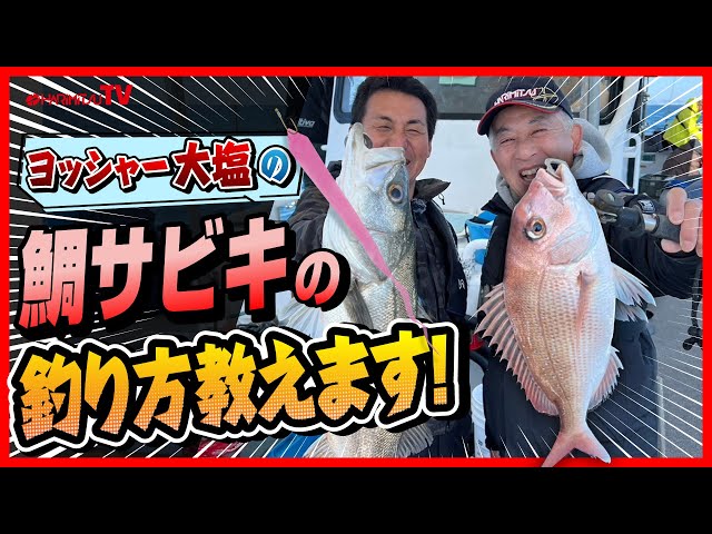 鯛サビキの釣り方教えます!/鯛サビキのはずが…!?【ヨッシャー大塩の