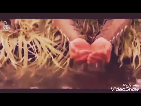 اجمل هوسات بصوت رائع جدا عن ابو فضل العباس مونتاج خورافي