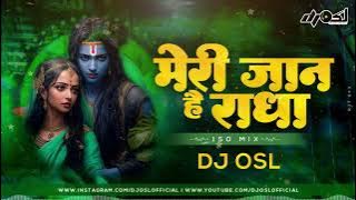 Meri Jaan Hai Radha - 150 Bpm Remix - DJ OSL - Janmashtami Special