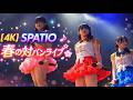 【4K】SPATIO 春の対バンライブ 大分音楽館 2019/3/21