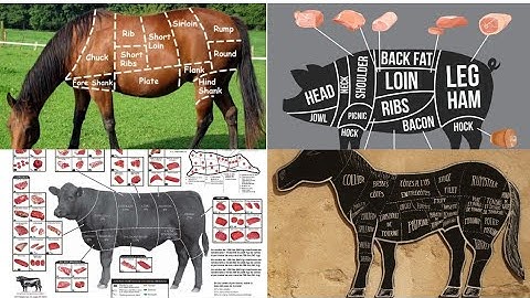 Understanding how to identify meats of beef,pork,sheep,goat,horse and others