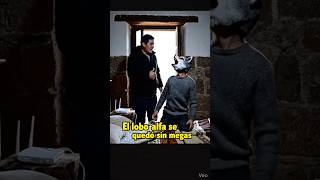 lobo del Pichincha Terihan