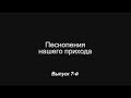 Песнопения нашего прихода. Выпуск 7: &quot;Дай Бог...&quot;