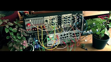 Mutable Instruments Plaits // Ambient Eurorack Modular