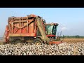 2019 Cotton Picking has begun.Case 635 Module Express Cotton Picker